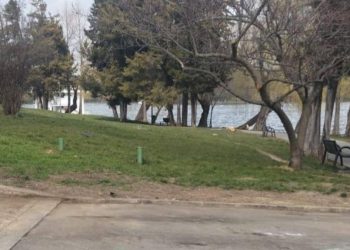 ciprian ciucu a declarat ca va scoate cascarbetele ilegale din herastrau si cismigiu suntem la