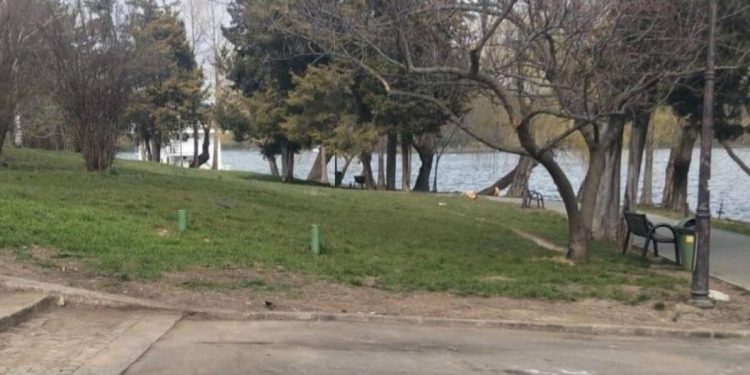 ciprian ciucu a declarat ca va scoate cascarbetele ilegale din herastrau si cismigiu suntem la