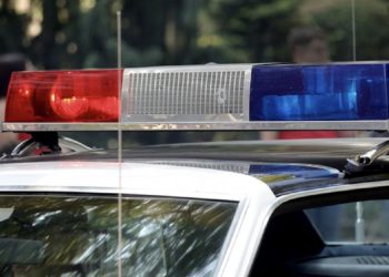 Doi barbati din Caracal au fost retinuti pentru uciderea intentionata a unui caine