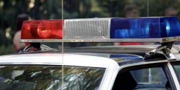 Doi barbati din Caracal au fost retinuti pentru uciderea intentionata a unui caine