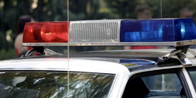 Doi barbati din Caracal au fost retinuti pentru uciderea intentionata a unui caine