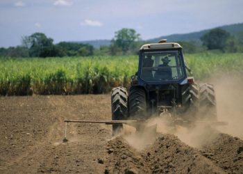 Guvernul a hotarat ca salariul minim in domeniul agricol sa fie corelat cu salariul minim de baza