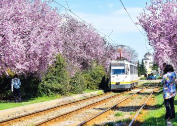 Incep lucrarile de modernizare a sinelor de tramvai pe bulevardele Bucuresti Noi si Gloriei