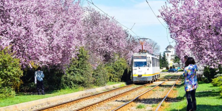 Incep lucrarile de modernizare a sinelor de tramvai pe bulevardele Bucuresti Noi si Gloriei