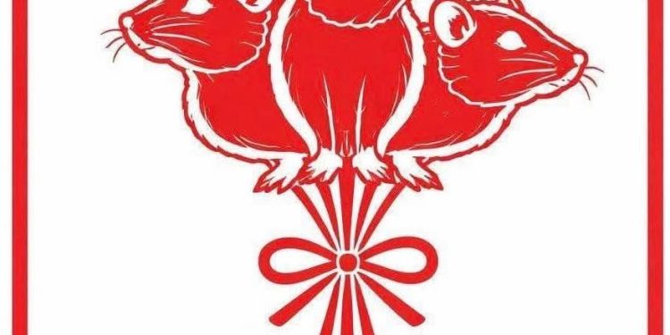 becul-din-cămară,-tălpile-de-la-budapesta-și-întunericul-pe-decret:-ziua-în-care-românia-a-ales,-din-nou,-să-nu-fie-ungaria