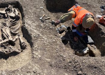 Descoperire remarcabila pe santierul Centurii de Vest a Timisorii Un razboinic ingropat in intregime