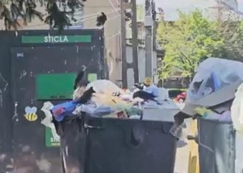 stiri locale subiecte de actualitate