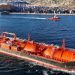 Petrolier sub pavilion liberian, suspectat de accidentare lângă Sfântu Gheorghe, trei persoane rănite. Nicușor Dan:... 2 Petrolier sub pavilion liberian suspectat de accidentare langa Sfantu Gheorghe trei persoane ranite Nicusor Dan