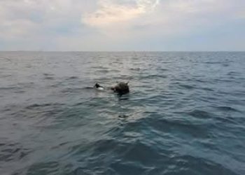 Romania abordeaza problema apararii la Marea Neagra in cadrul reuniunii CAE de la Bruxelles Un centrul de