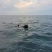 Romania abordeaza problema apararii la Marea Neagra in cadrul reuniunii CAE de la Bruxelles Un centrul de