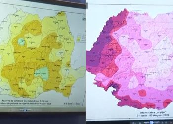 HARTA secetei care afecteaza porumbul si floarea soarelui Temperatura maxima tolerata a fost