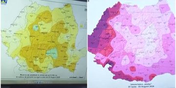 HARTA secetei care afecteaza porumbul si floarea soarelui Temperatura maxima tolerata a fost
