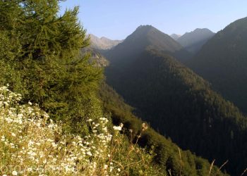 Operatiuni de salvare a turistilor finalizate cu succes de echipele Salvamont Arges