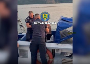 Un sarb a adormit pe un colac si curentii l au dus in mijlocul Dunarii Politia de Frontiera l a salvat