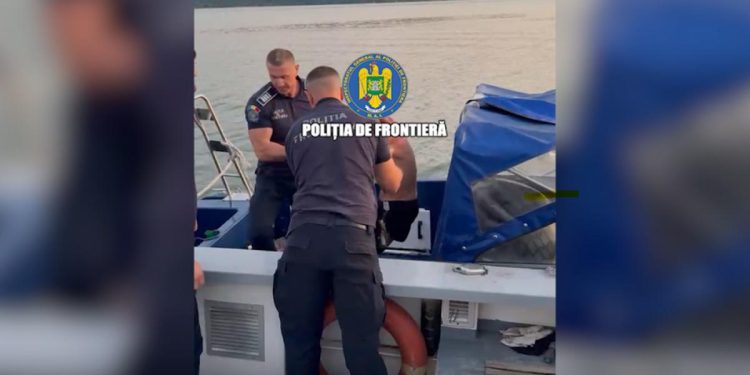 Un sârb a adormit pe un colac și curenții l-au dus în mijlocul Dunării. Poliția de Frontieră l-a salvat... 1 Un sarb a adormit pe un colac si curentii l au dus in mijlocul Dunarii Politia de Frontiera l a salvat